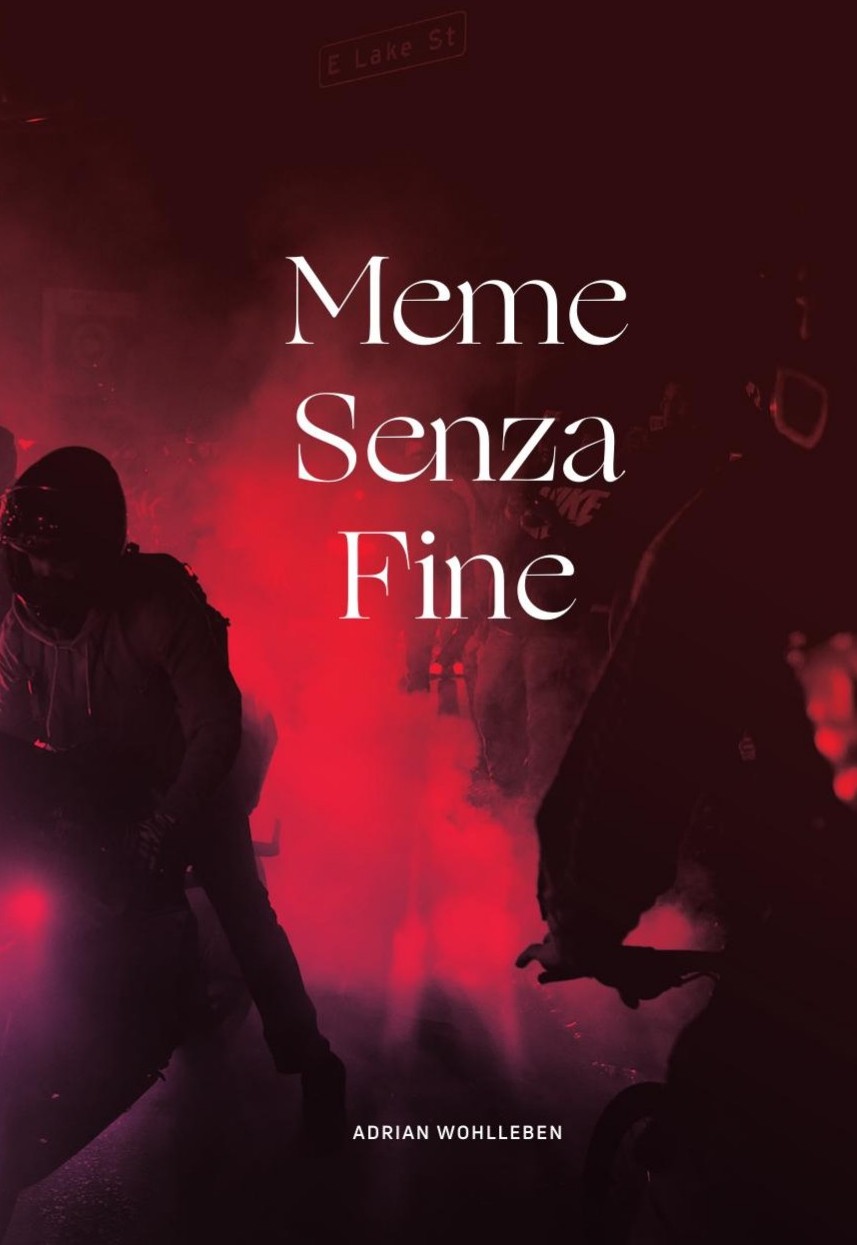 Meme senza fine