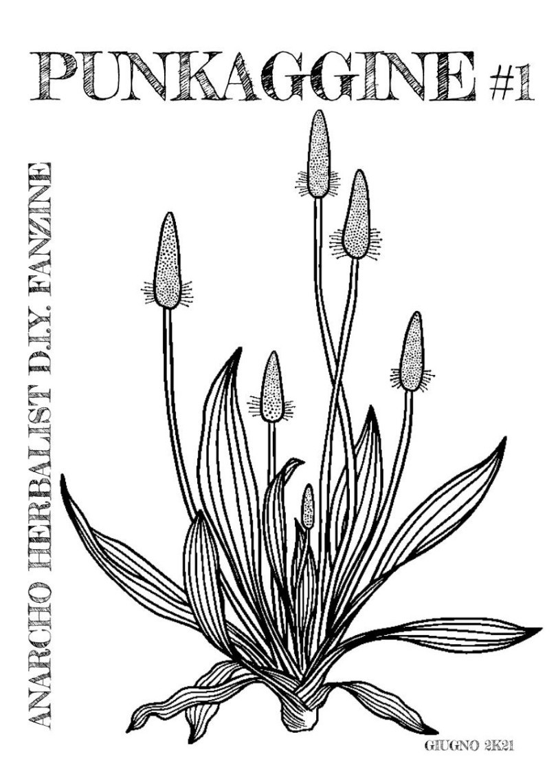 Punkaggine #1. Anarcho herbalist D.I.Y fanzine