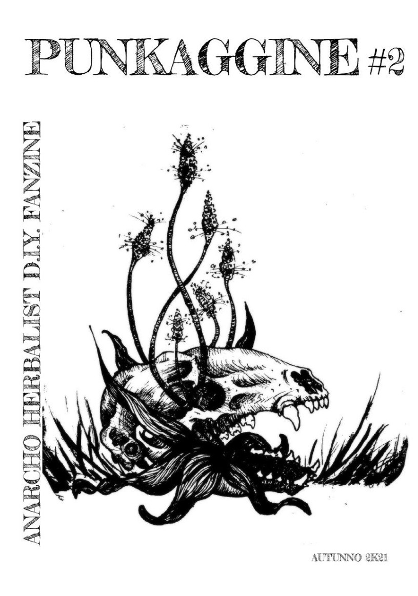 Punkaggine #2. Anarcho herbalist D.I.Y fanzine