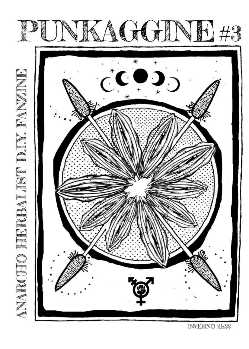 Punkaggine #3. Anarcho herbalist D.I.Y fanzine