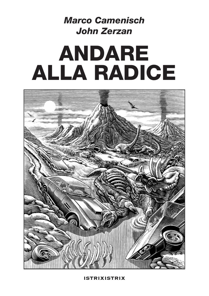 Andare alla radice