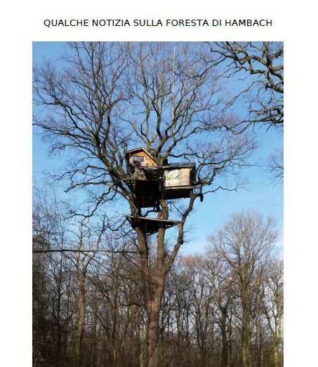 Qualche notizia sulla foresta di Hambach