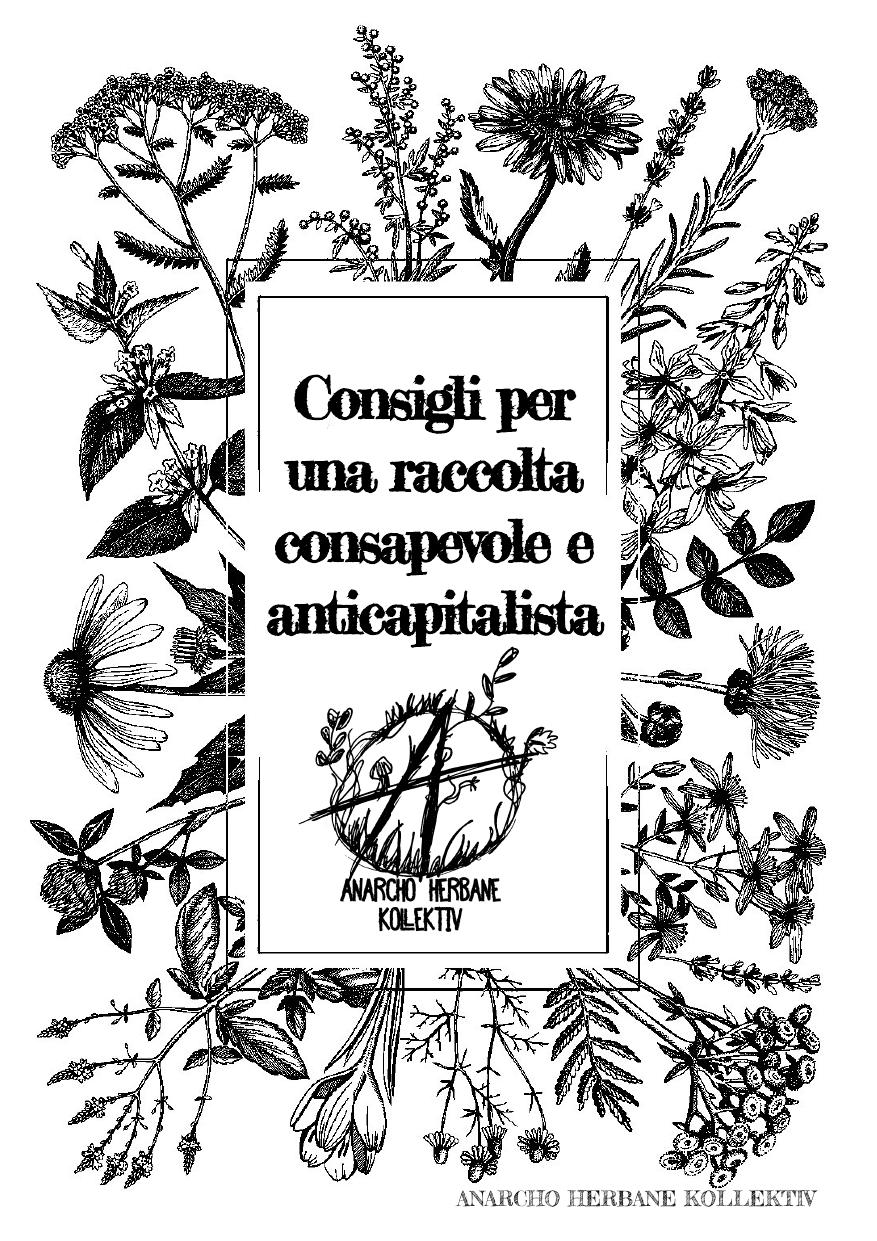 Consigli per una raccolta consapevole e anticapitalista