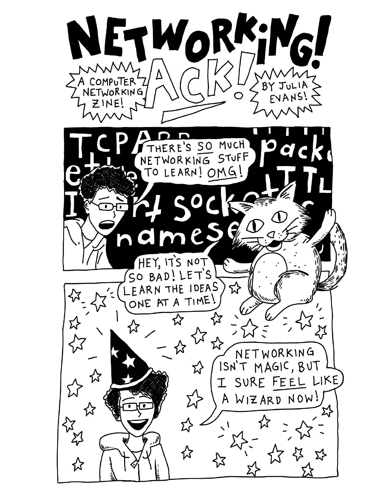 Networking! Ack! A computer networking zine